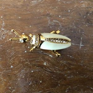 Cute St John Bug Pin